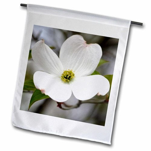Columbine Flower Yankee Boy Basin 12 by 18 3dRose USA - Garden Flag Colorado Rocky Mountains Columbine Flower Yankee Boy Basin 12 by 18 3dRose USA - Garden Flag Colorado Rocky Mountains